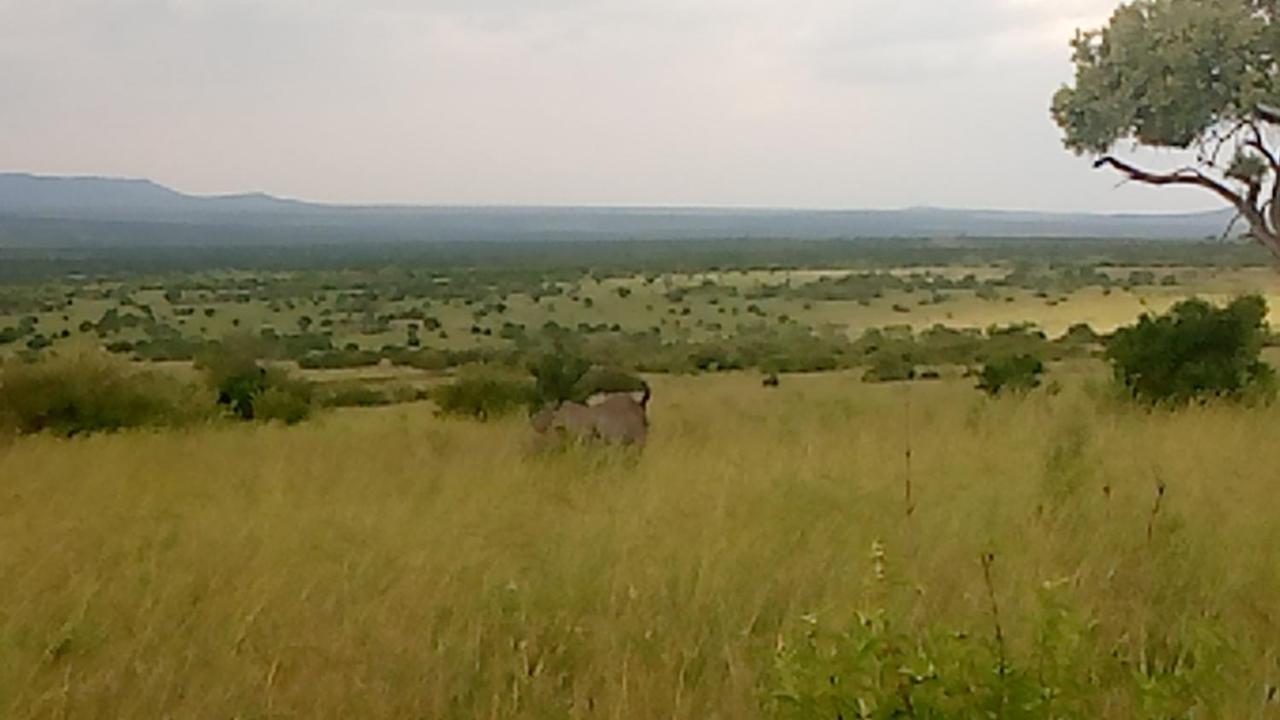 Semadep Safari Camp Panzió Sekenani Kültér fotó